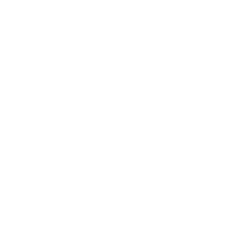 NSW Electoral Commission logo