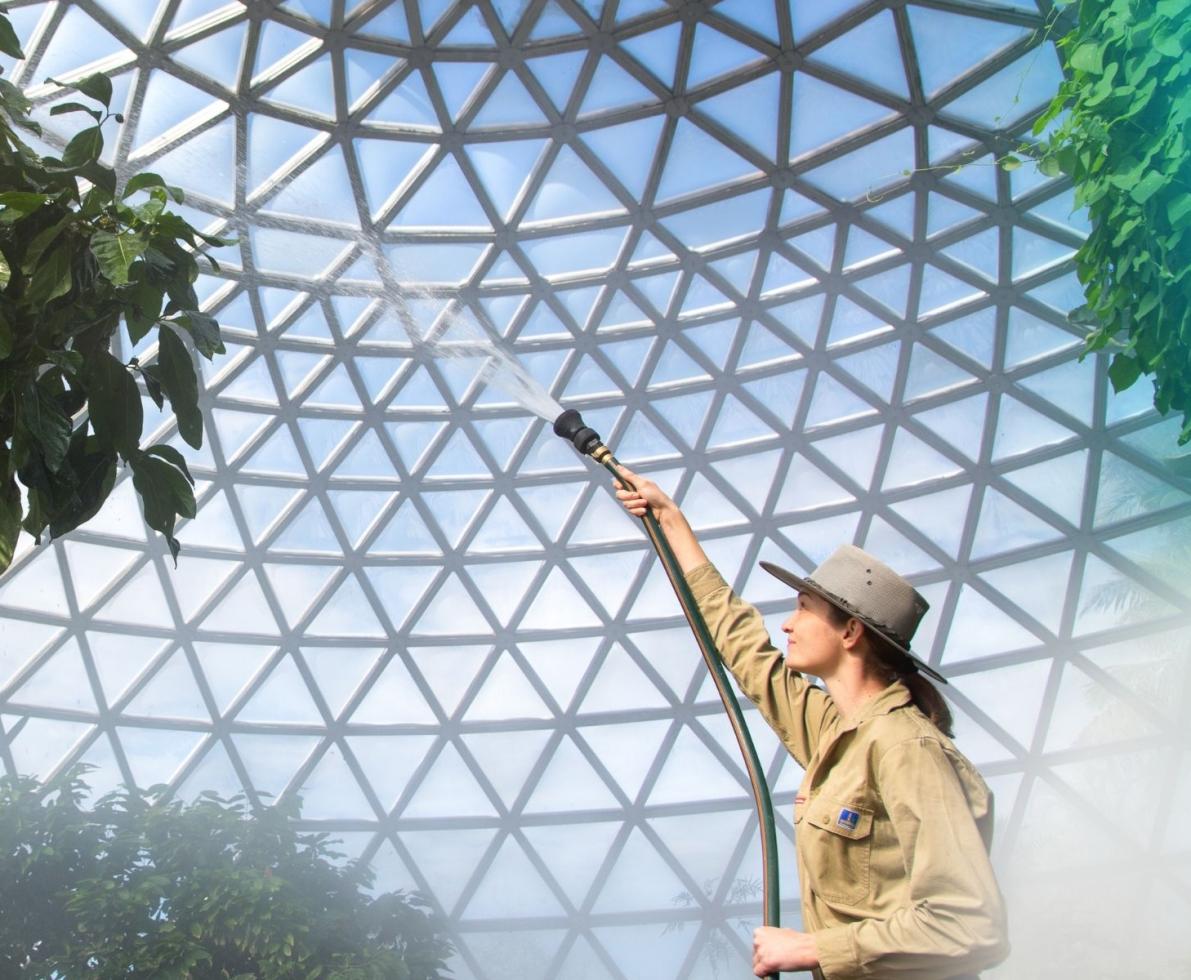 Tropical dome - Brisbane City Council