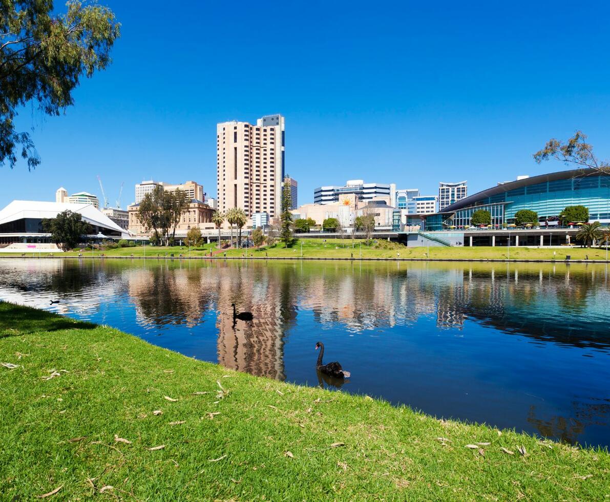 scenic image of Adelaide city with Torrens river in the foreground